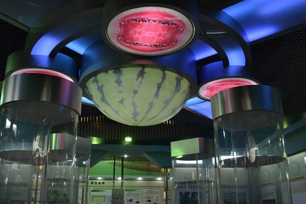 China Watermelon Museum – Atlas Obscura